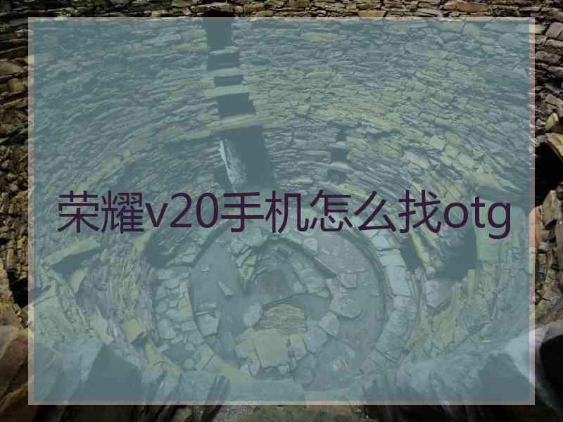 荣耀v20手机怎么找otg