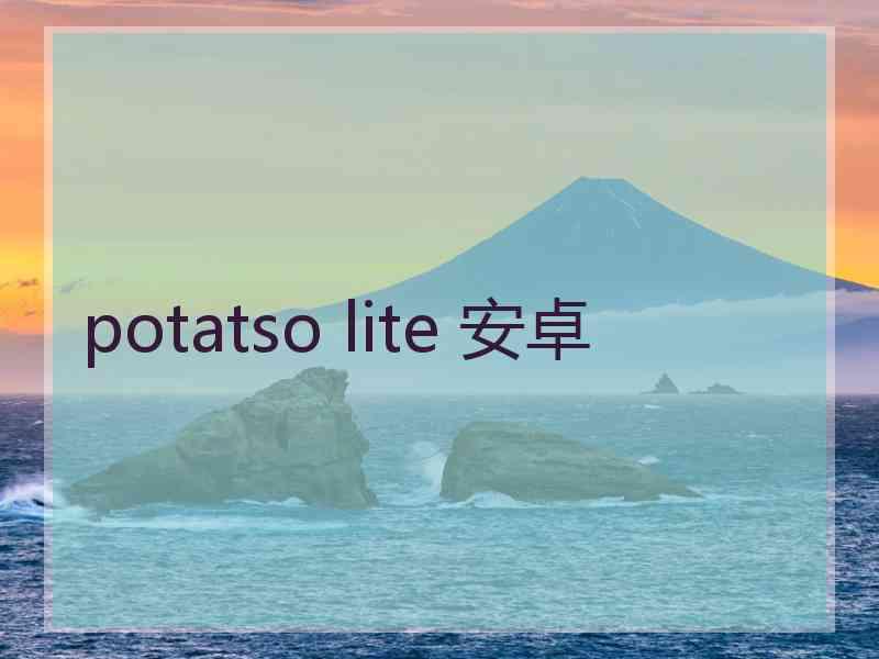 potatso lite 安卓