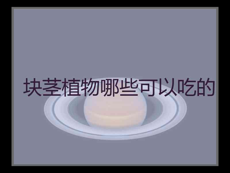 块茎植物哪些可以吃的