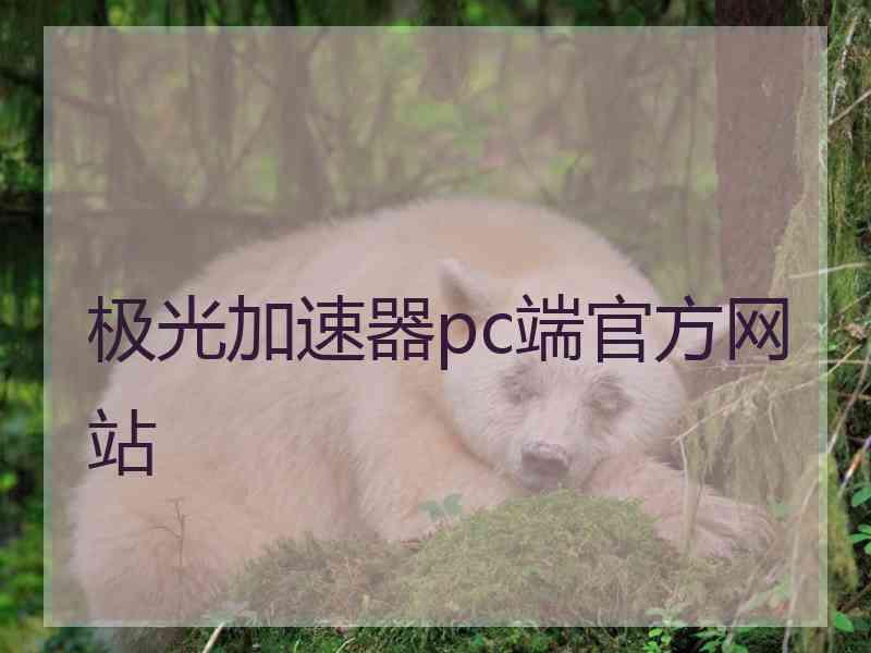 极光加速器pc端官方网站