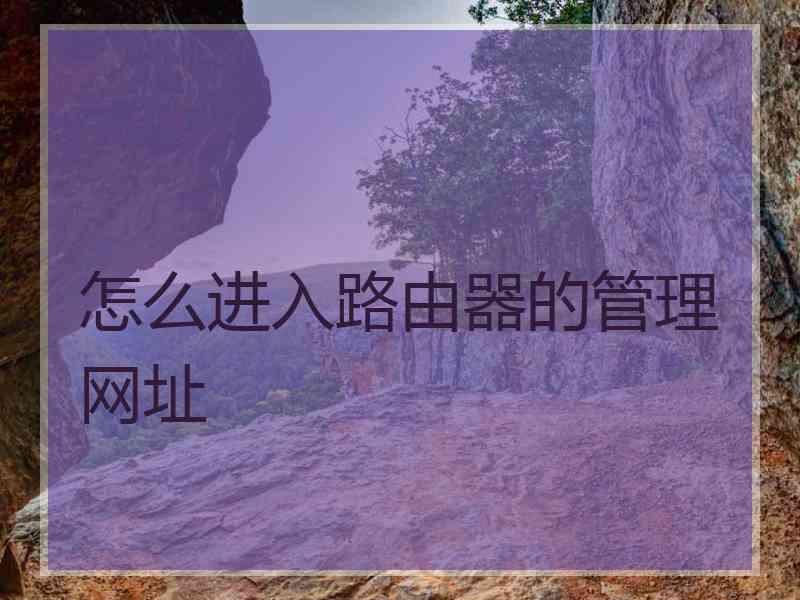 怎么进入路由器的管理网址