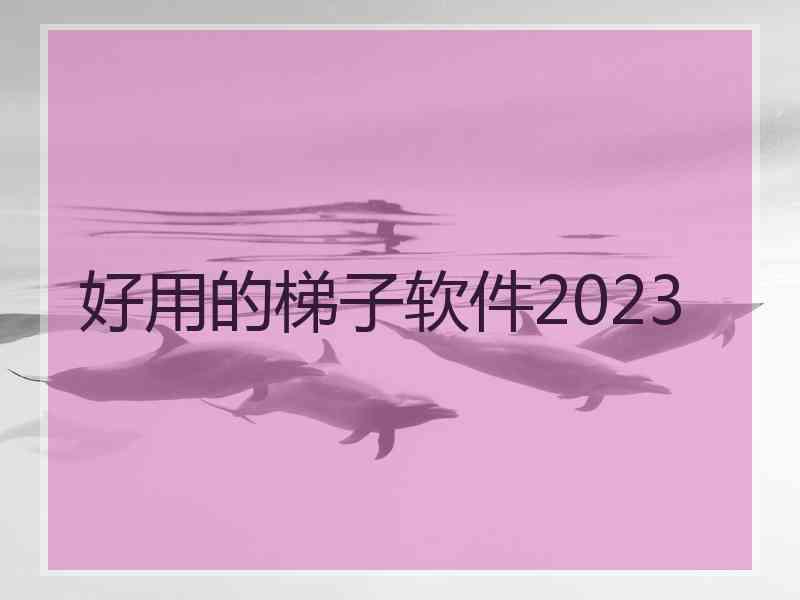 好用的梯子软件2023