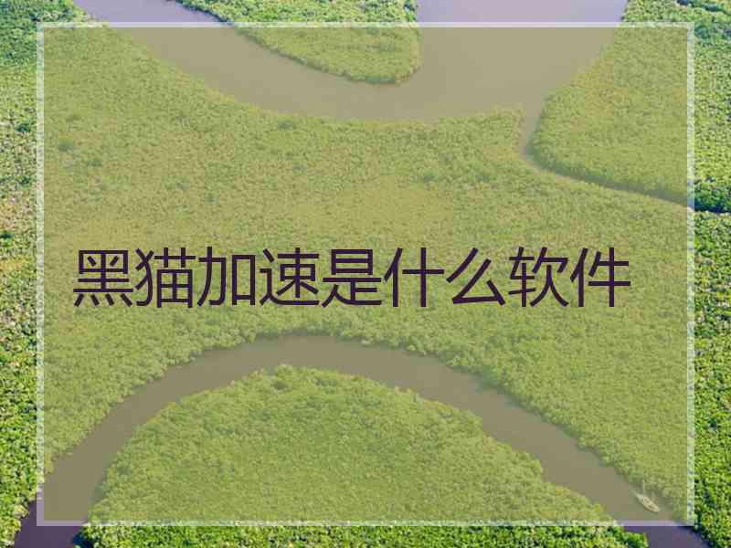黑猫加速是什么软件