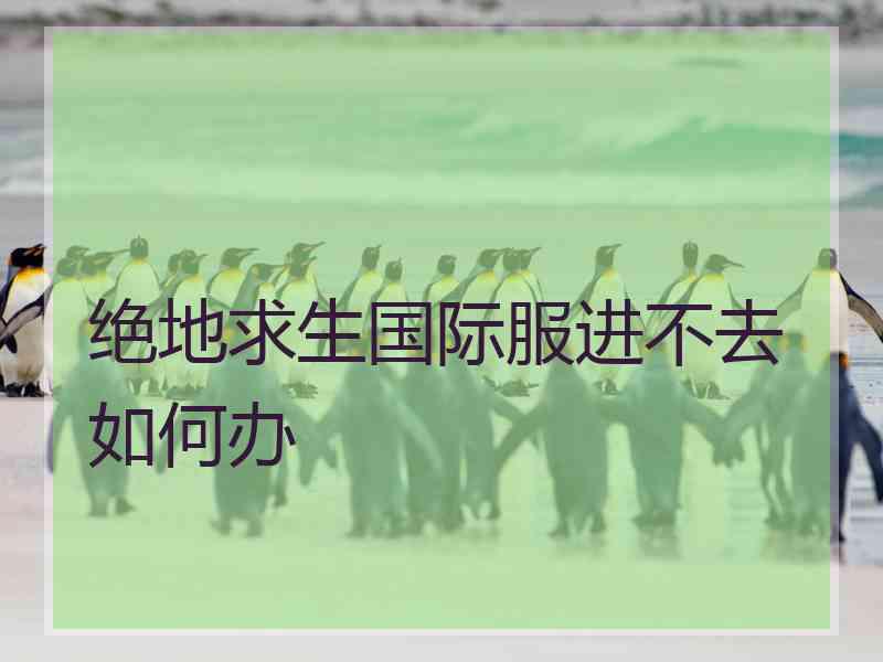 绝地求生国际服进不去如何办