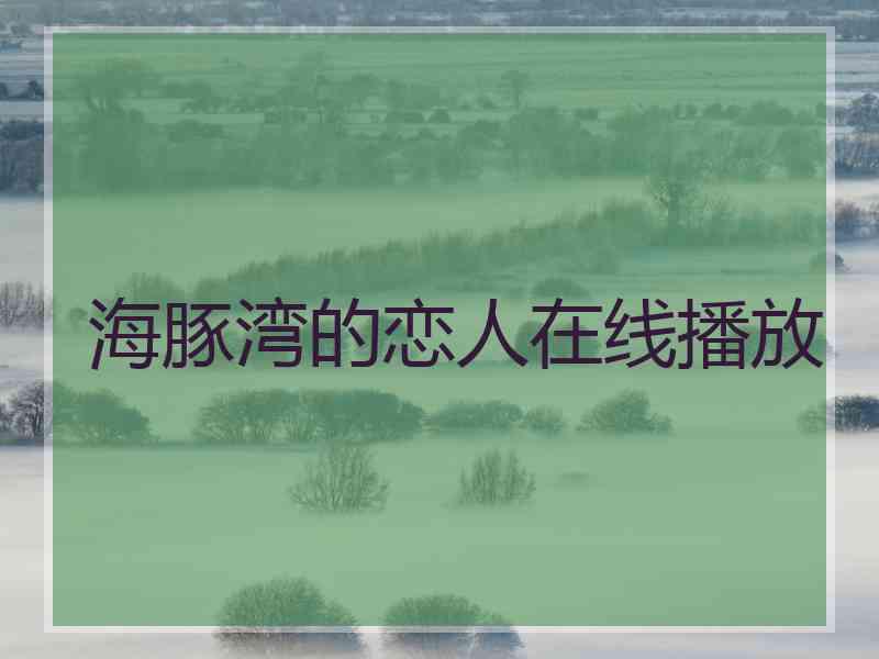 海豚湾的恋人在线播放