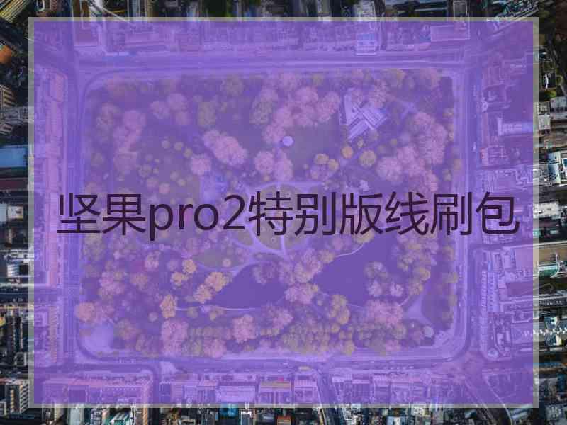 坚果pro2特别版线刷包