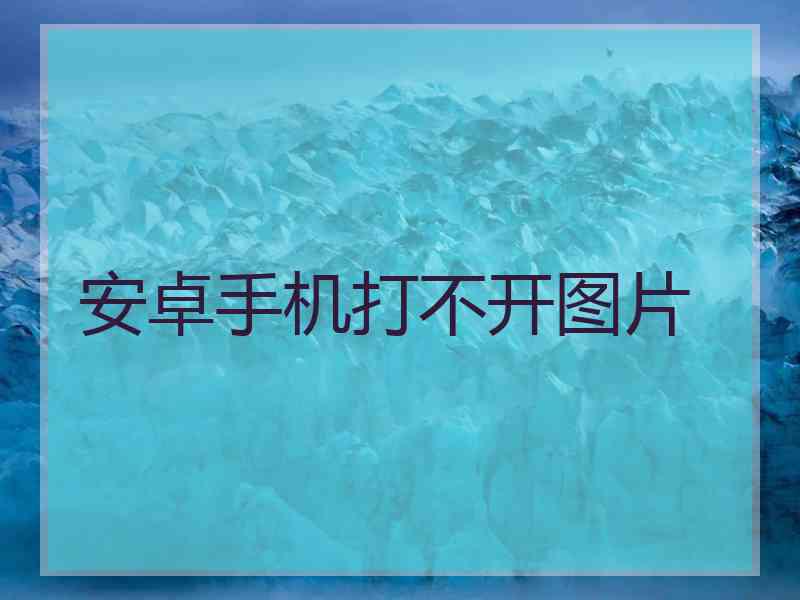 安卓手机打不开图片
