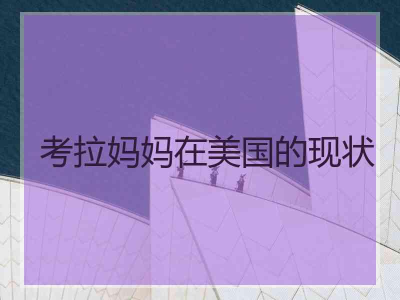 考拉妈妈在美国的现状