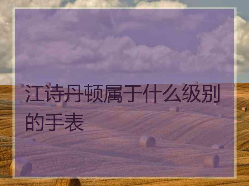 江诗丹顿属于什么级别的手表
