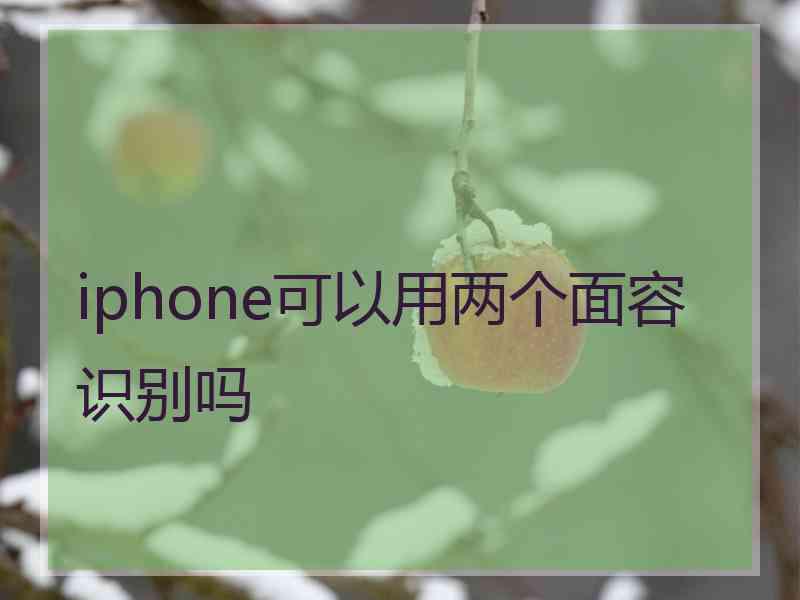 iphone可以用两个面容识别吗