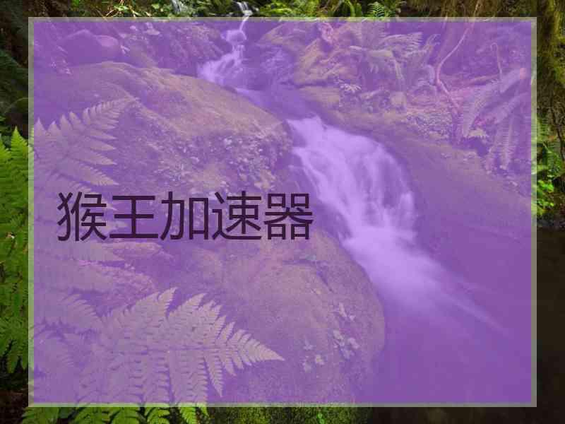 猴王加速器