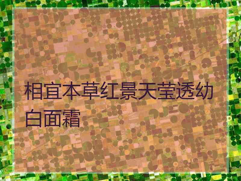 相宜本草红景天莹透幼白面霜