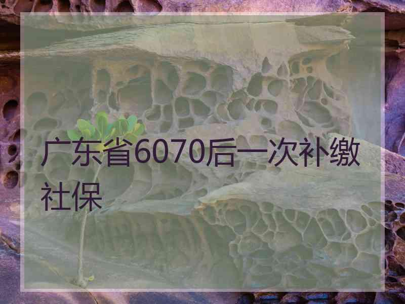 广东省6070后一次补缴社保