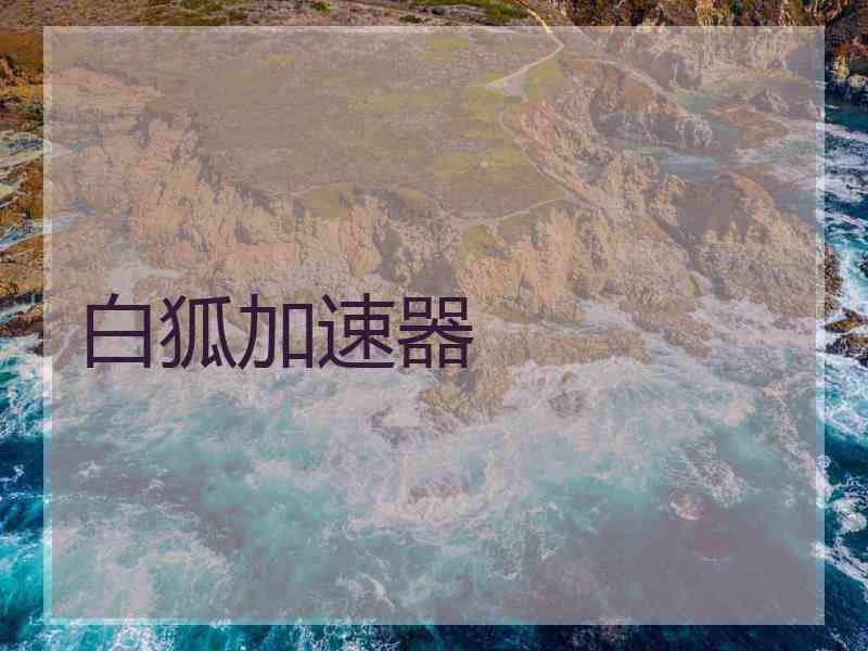 白狐加速器