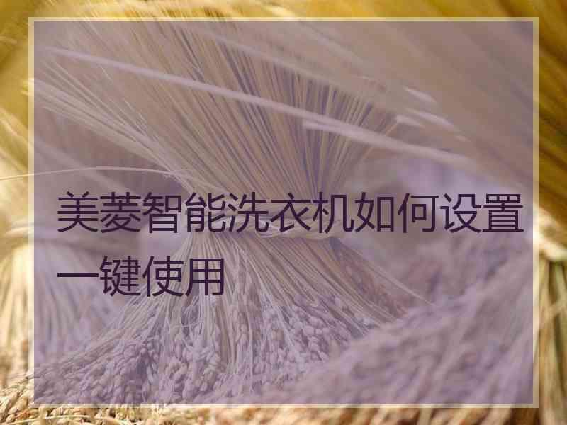 美菱智能洗衣机如何设置一键使用