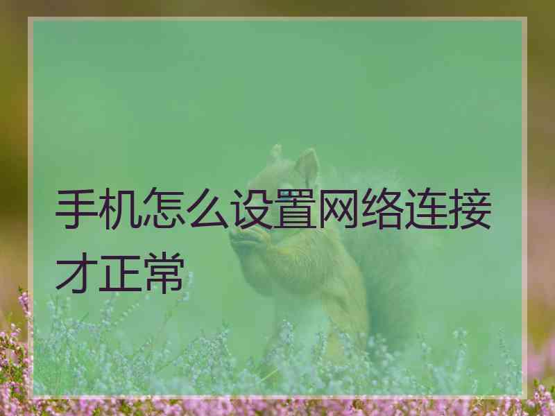 手机怎么设置网络连接才正常