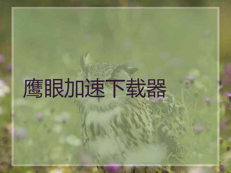 鹰眼加速下载器