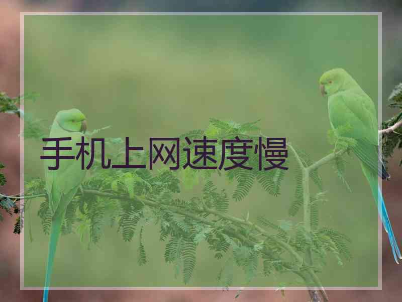 手机上网速度慢