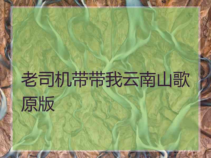 老司机带带我云南山歌原版