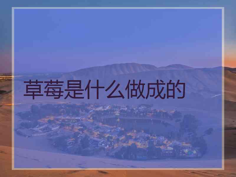 草莓是什么做成的