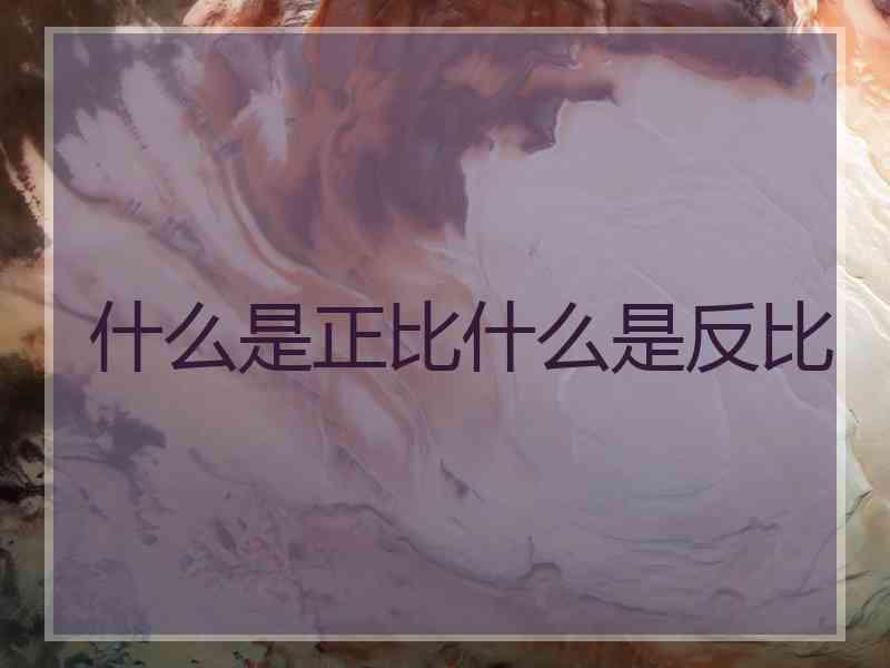 什么是正比什么是反比