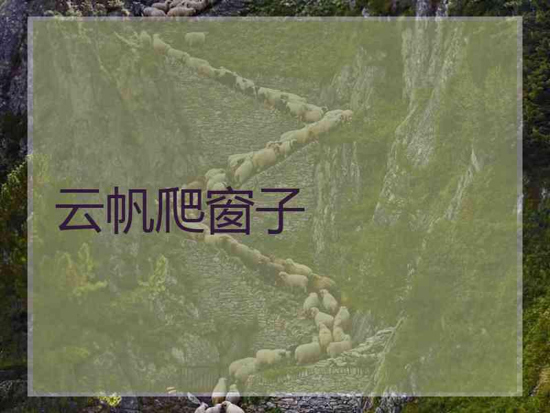 云帆爬窗子