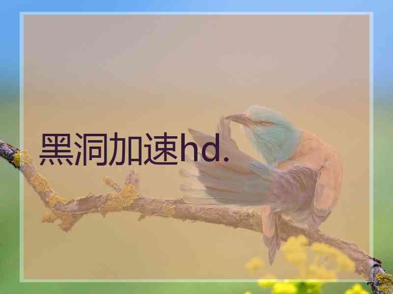 黑洞加速hd.