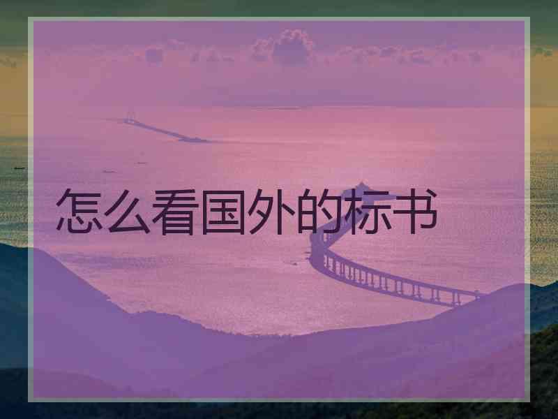 怎么看国外的标书