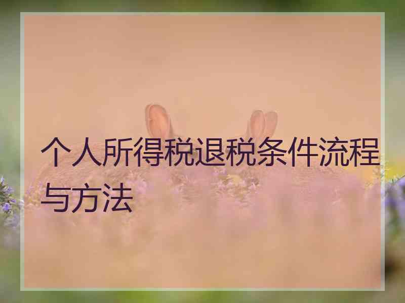 个人所得税退税条件流程与方法