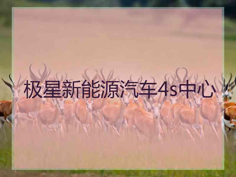极星新能源汽车4s中心