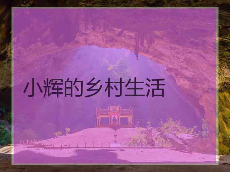 小辉的乡村生活