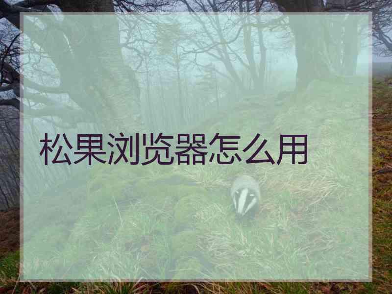 松果浏览器怎么用