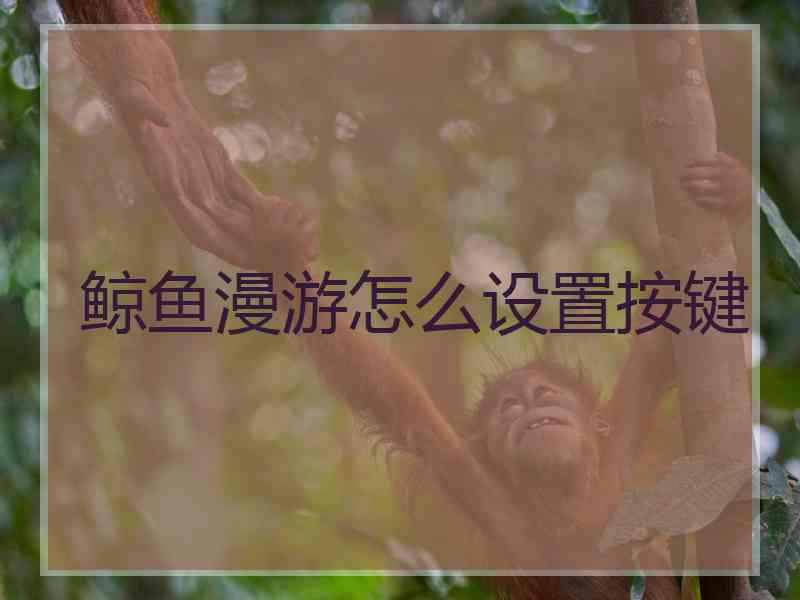 鲸鱼漫游怎么设置按键