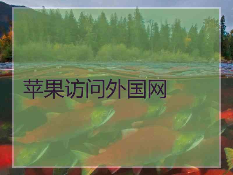 苹果访问外国网
