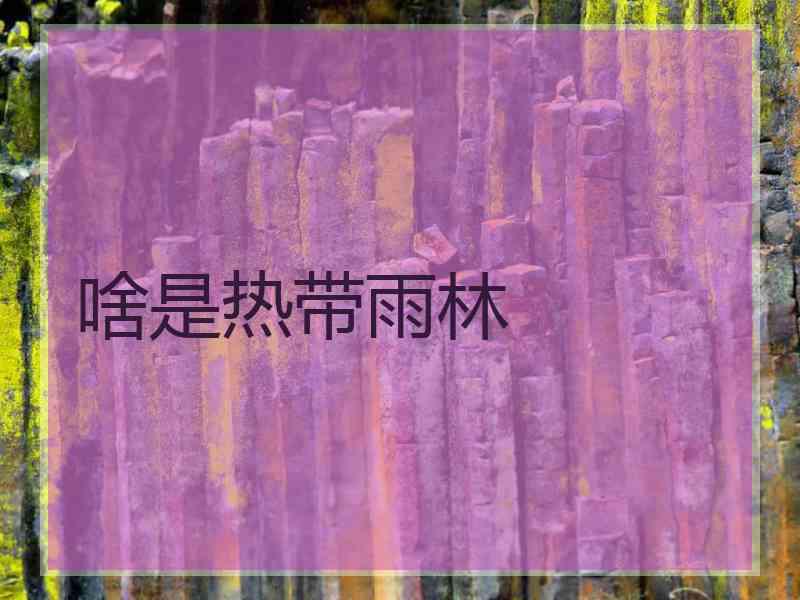 啥是热带雨林