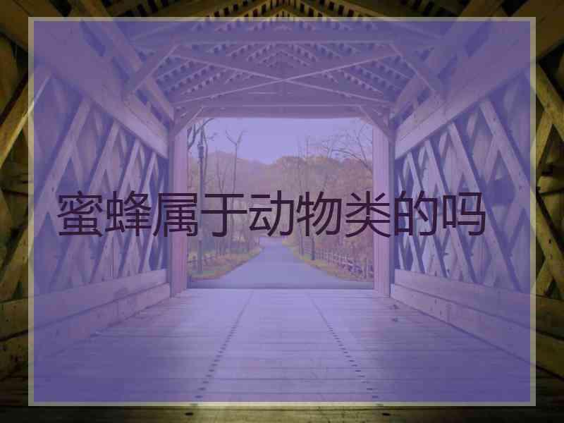 蜜蜂属于动物类的吗