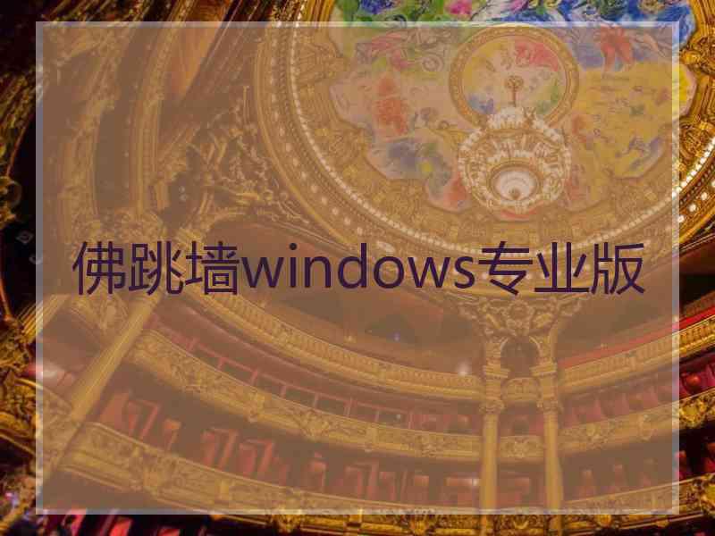 佛跳墙windows专业版