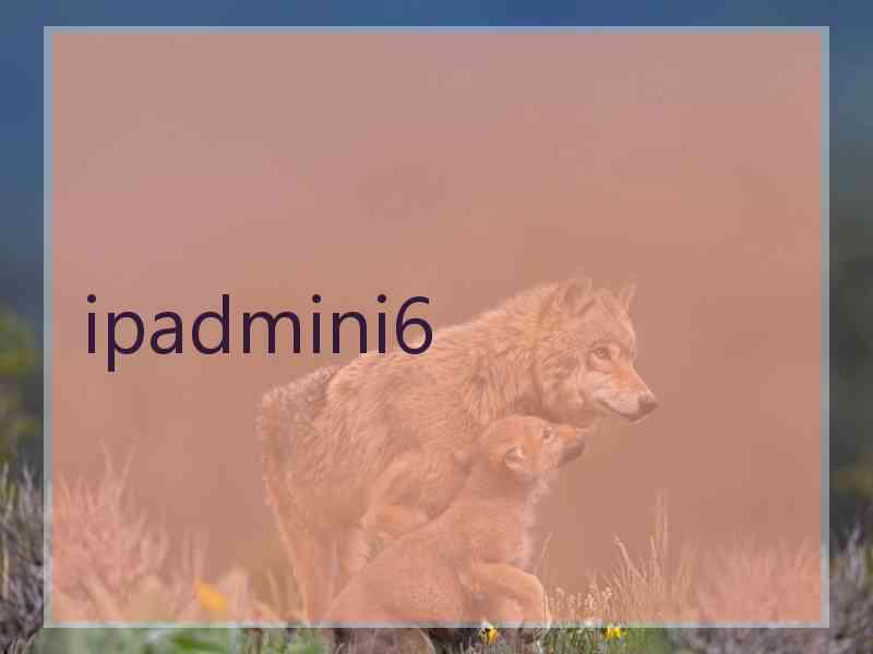 ipadmini6