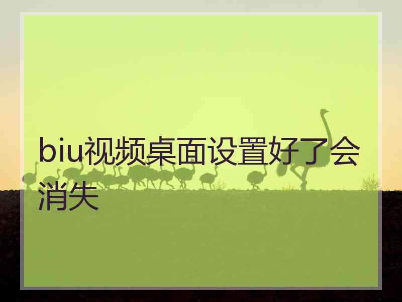 biu视频桌面设置好了会消失