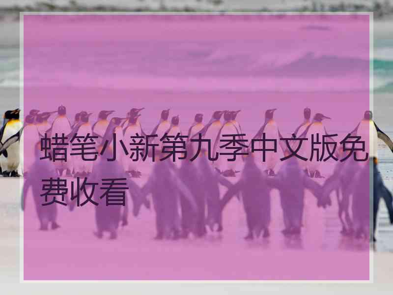 蜡笔小新第九季中文版免费收看