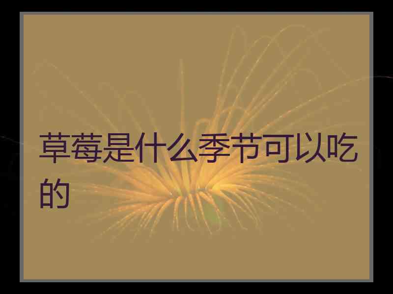 草莓是什么季节可以吃的