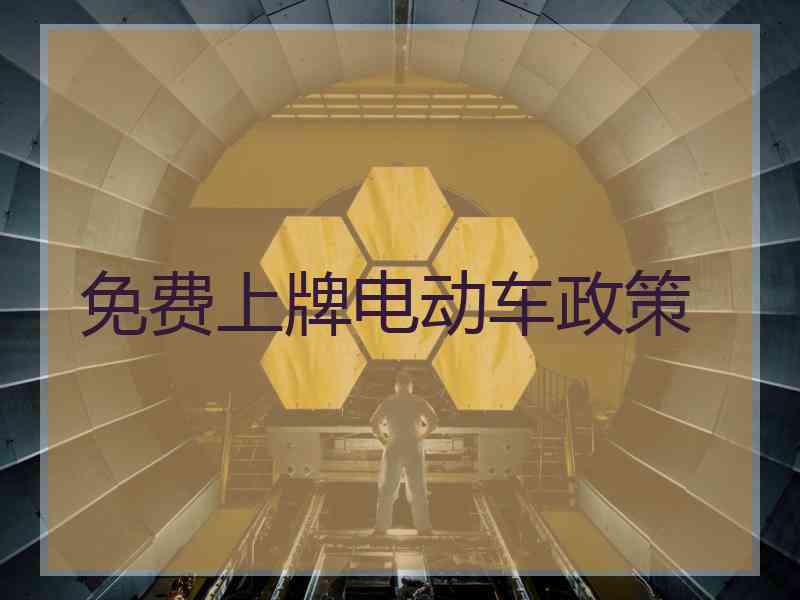 免费上牌电动车政策
