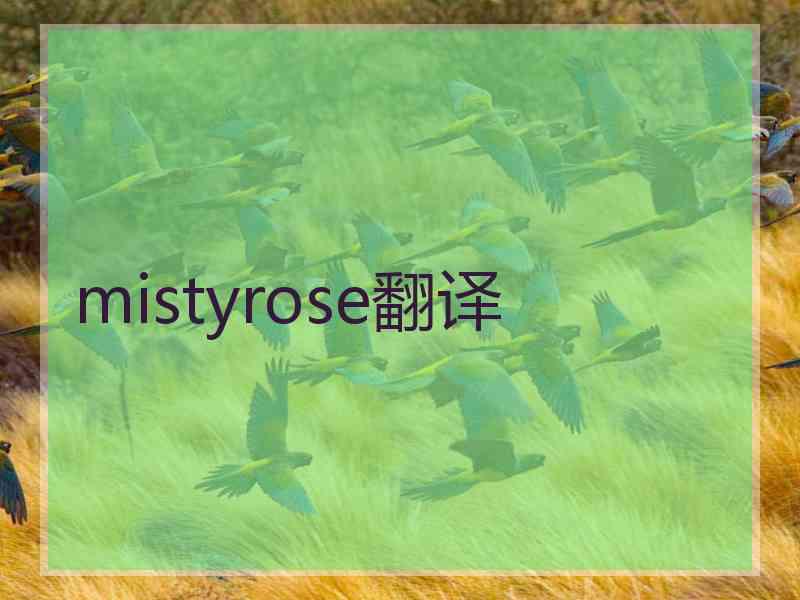 mistyrose翻译