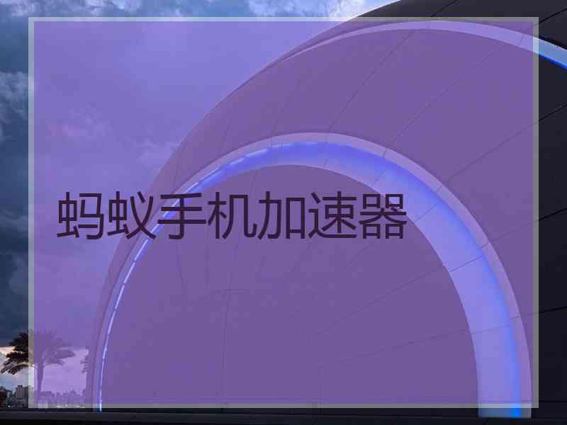 蚂蚁手机加速器