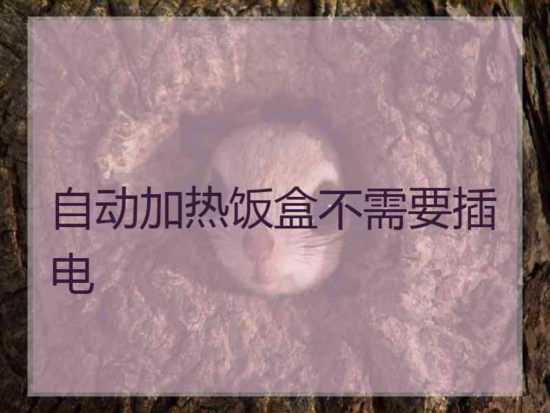 自动加热饭盒不需要插电