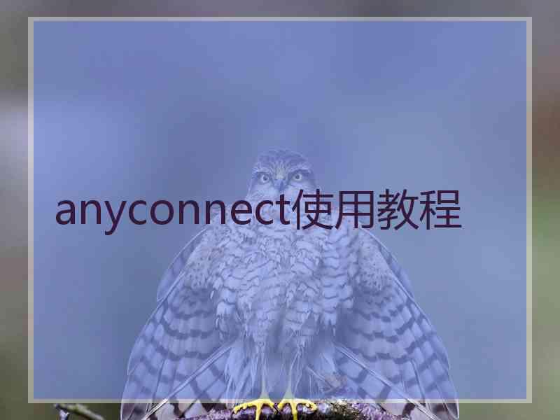anyconnect使用教程
