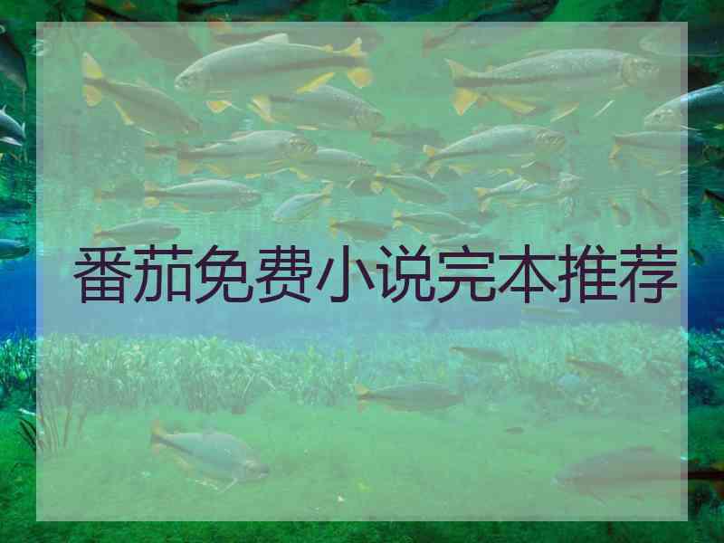 番茄免费小说完本推荐