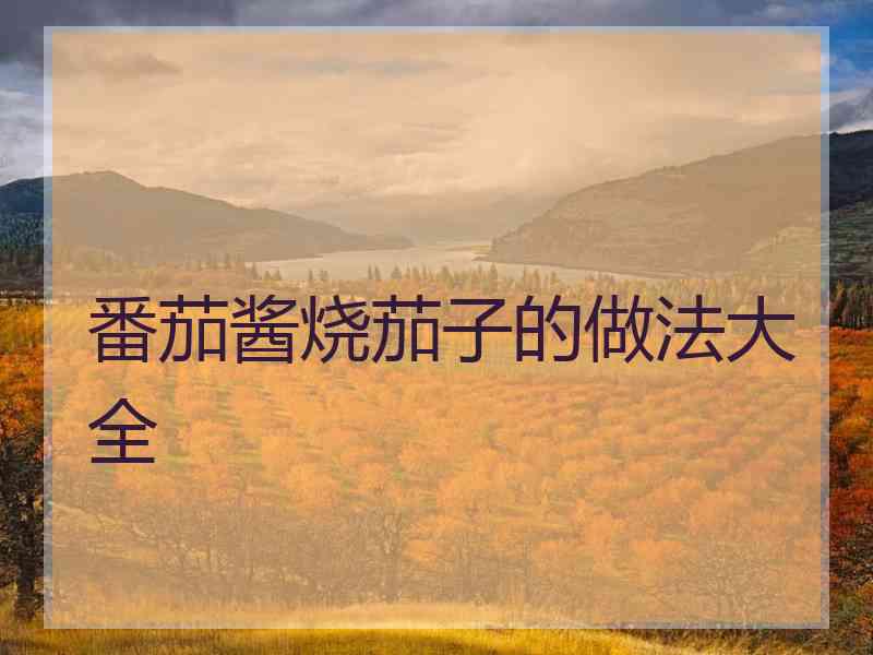 番茄酱烧茄子的做法大全
