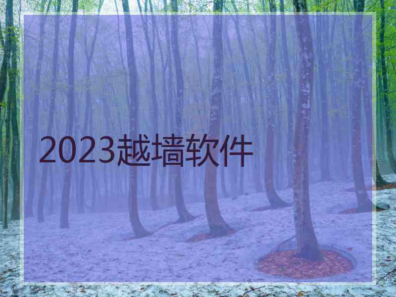 2023越墙软件