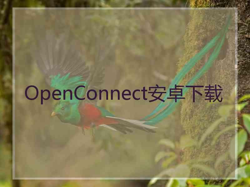 OpenConnect安卓下载